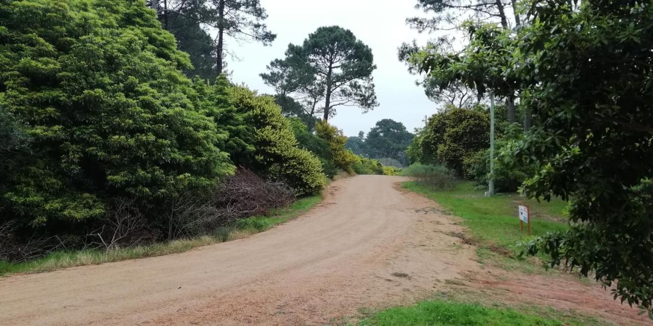 Las Chozas Punta del Este Rum bild