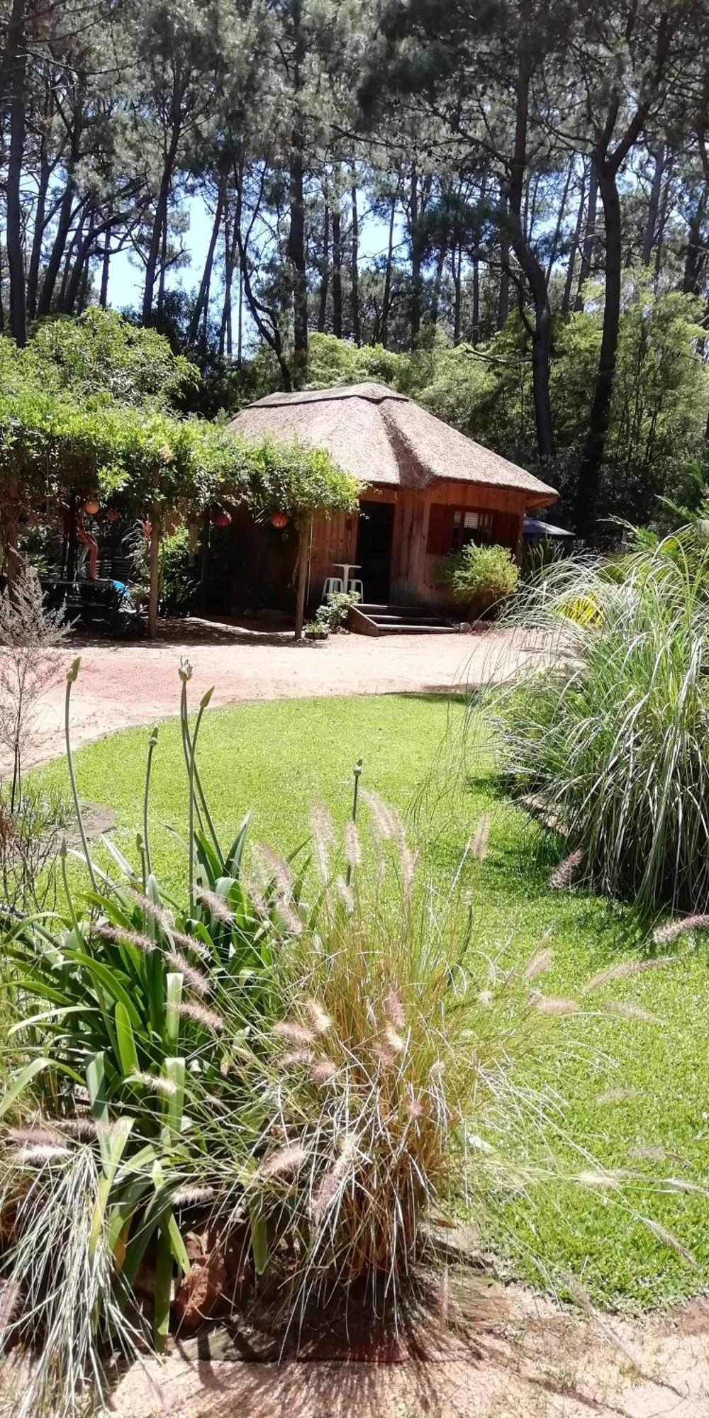 Las Chozas Punta del Este Exteriör bild