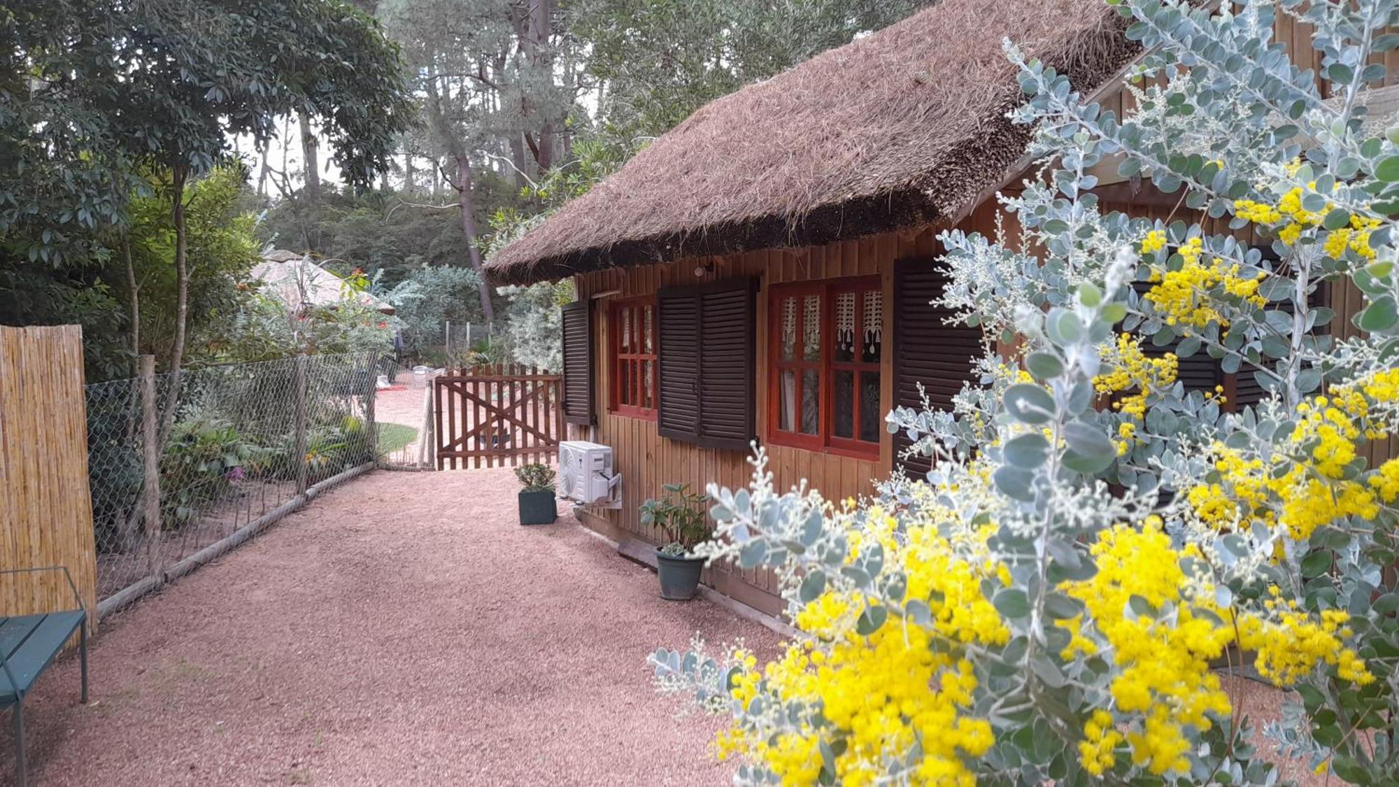 Las Chozas Punta del Este Exteriör bild